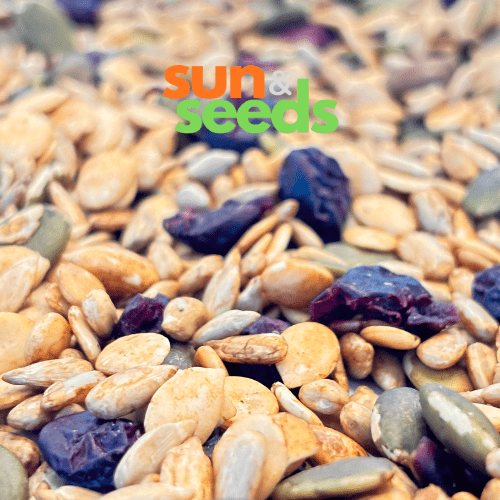 Umami Salad Topper - Seedfit